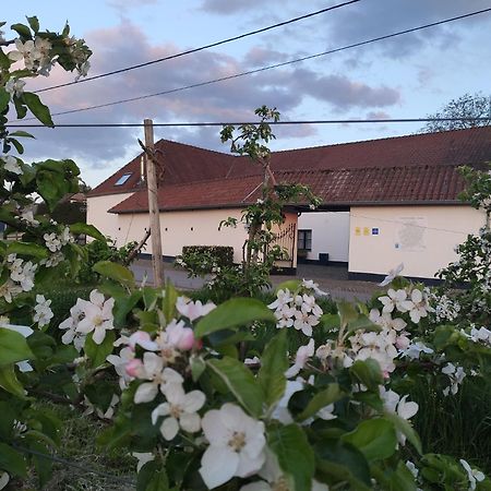 Het Hemelsveld Bed & Breakfast Хаселт Екстериор снимка