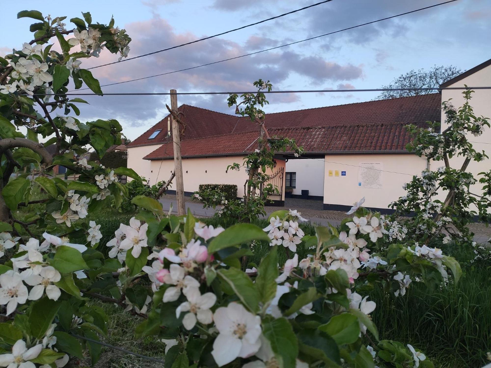 Het Hemelsveld Bed & Breakfast Хаселт Екстериор снимка